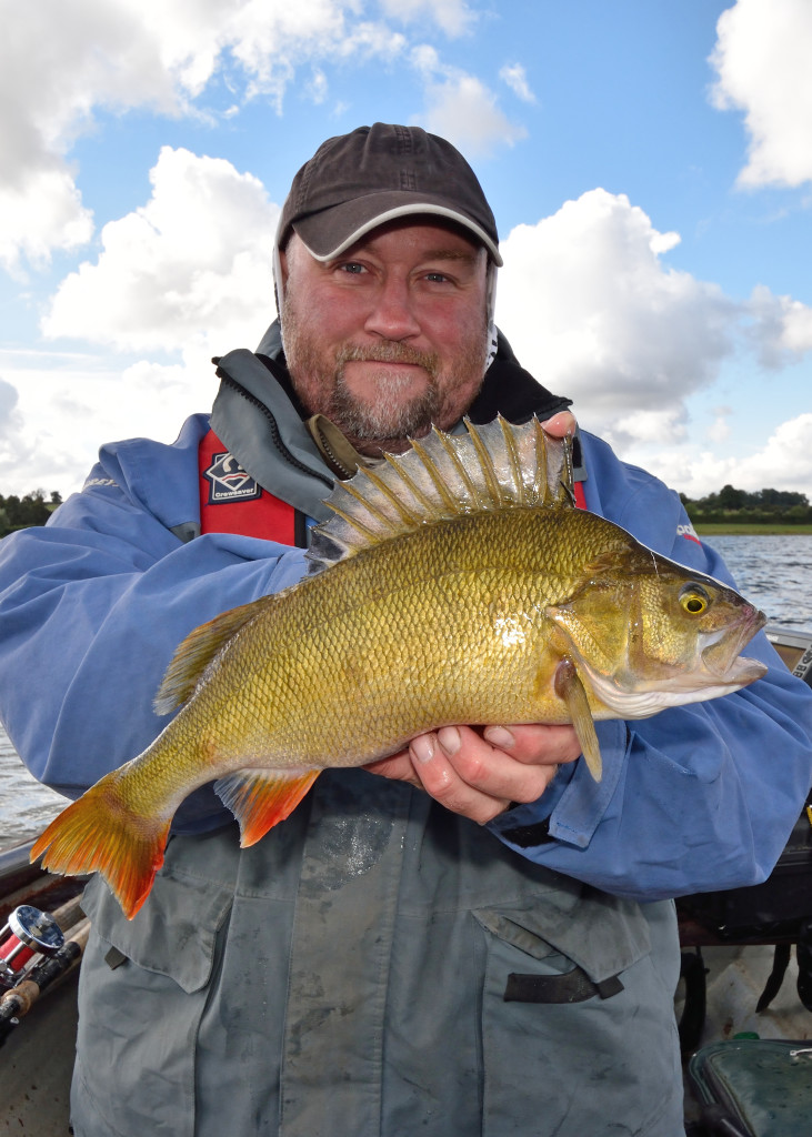 Gold Perch