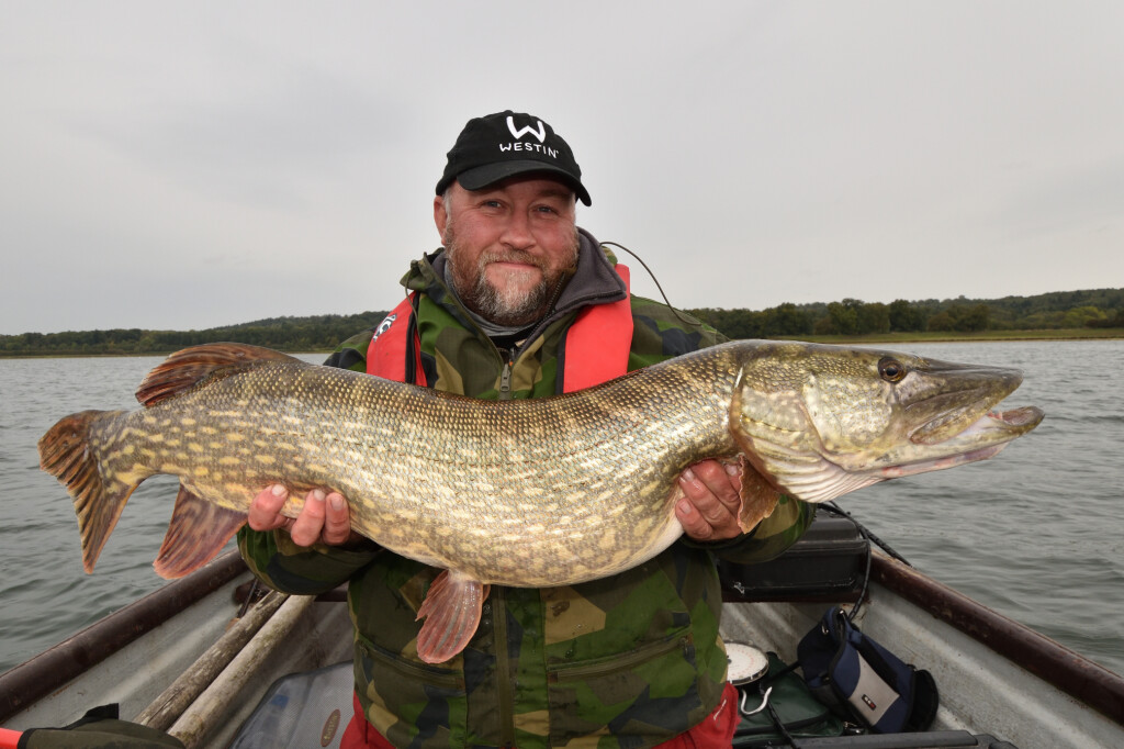 Lure pike