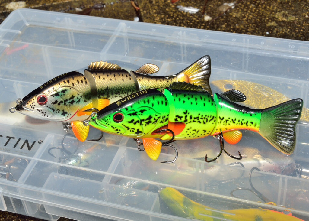 Swimbaits_01