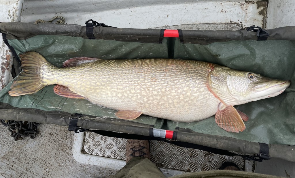 monster pike